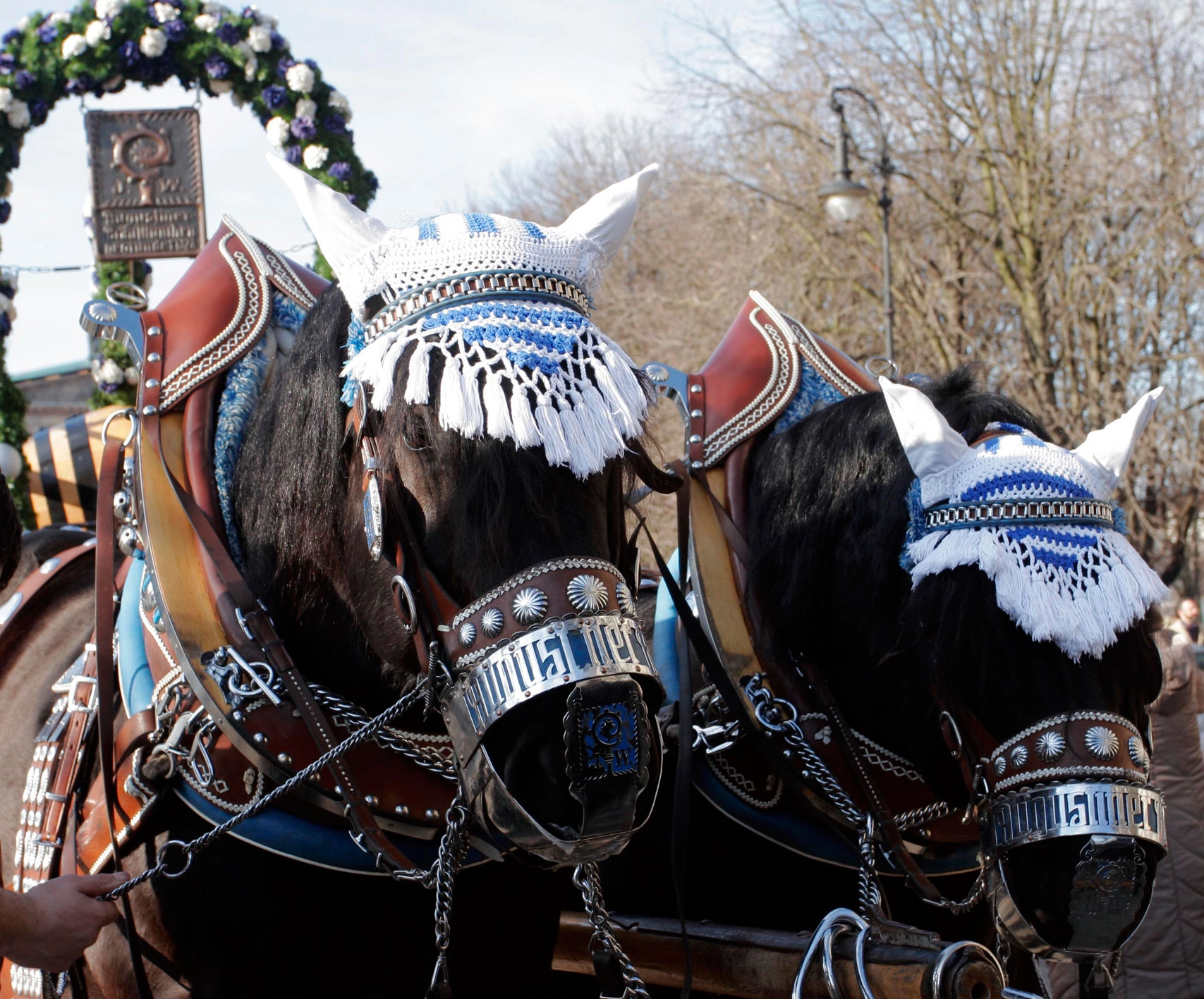 Zwei Kaltblutpferde in traditionellem bayerischen Prunkgeschirr mit weiß-blauen Kopfbedeckungen vor einem festlich geschmückten Festwagen.